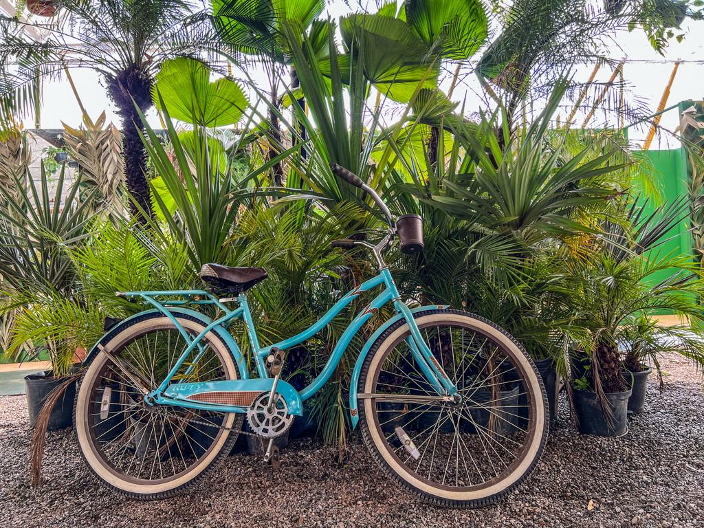 Puro charme: Jardim Secreto inaugura restaurante em viveiro de plantas