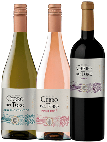 Expressão do Atlântico: Domno Wines apresenta a Cerro del Toro
