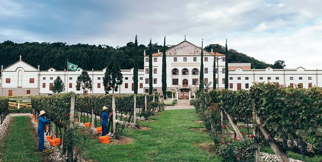 Salton: espumante é destaque na Avaliação Nacional de Vinhos