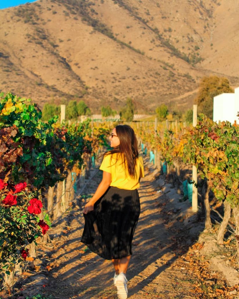 Santa Rita: OMET nomeia vinícola “melhor experiência de enoturismo responsável”