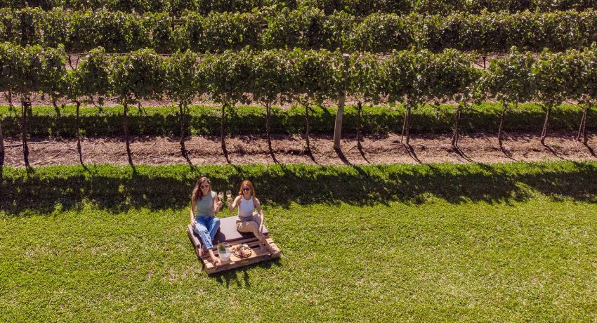 Piquenique - Vinícola Aurora Pinto Bandeira - Créditos Zéto Telöken (12) - Cópia