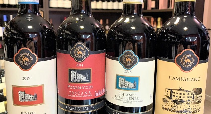 WhatsApp Image 2023-07-17 at 16.28.40